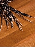 Parchet Triplu Stratificat Doussie Elegance*