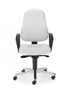 Scaun de Birou Tip Office Bizzi gtp42 steel 36 chrome Epron Syncron