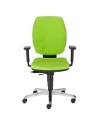 Scaun de Birou Tip Office Roxy  PW  R19I STEEL 36 chrome