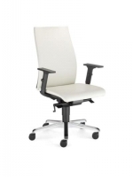 Scaun de Birou Tip Directorial Intrata M 22-ST36ALU-GTP36-ES-SH