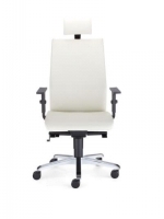Scaun de Birou Tip Directorial Intrata M-22HRU-ST36 CR-R20N-ESPT-SH