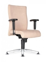 Scaun de Birou Tip Directorial Trinity 137
