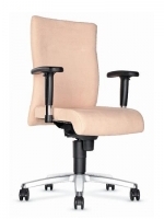 Scaun de Birou Tip Directorial Trinity 138