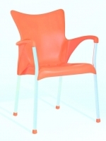 Scaun Delicate